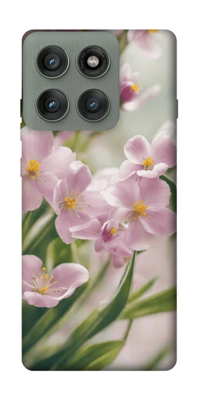 Чохол на Motorola Edge 60 Pro Spring фото 1 з 1