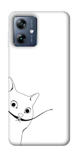 Чехол на Motorola Moto G54 Power Кот Дали фото 1 из 1