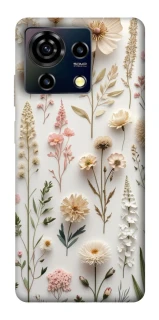 Чохол на ZTE Blade V50 Vita Floral design ver.1 фото 1 з 1