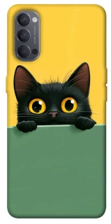 Чехол на Oppo Reno 4 Black cat v2 фото 1 из 1