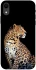 Чехол на Apple iPhone XR (6.1") Leopard v2 фото 1 из 1