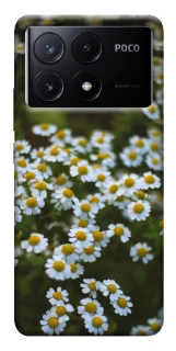 Чохол на Xiaomi Poco X6 Ромашки v13 фото 1 з 1