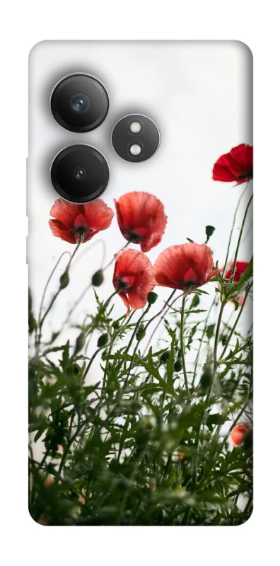 Чохол на Realme GT Neo 6 SE Поле маків фото 1 з 1