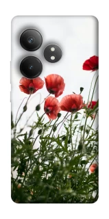 Чохол на Realme GT Neo 6 SE Поле маків фото 1 з 1