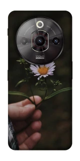 Чехол на ZTE Nubia Focus Pro Ромашка v4 фото 1 из 1