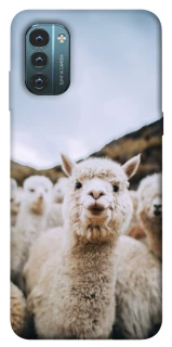 Чохол на Nokia G21 Лама фото 1 з 1