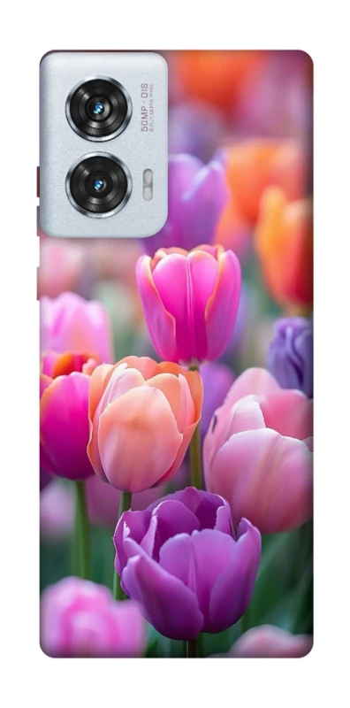 Чохол на Motorola Edge 50 Fusion Тюльпанове поле фото 1 з 1