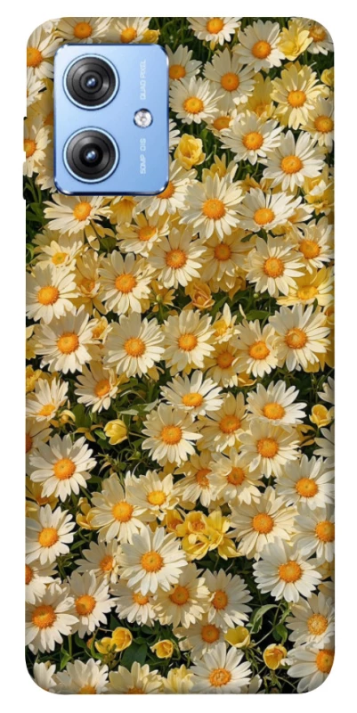 Чехол на Motorola Moto G84 Camomile фото 1 из 1