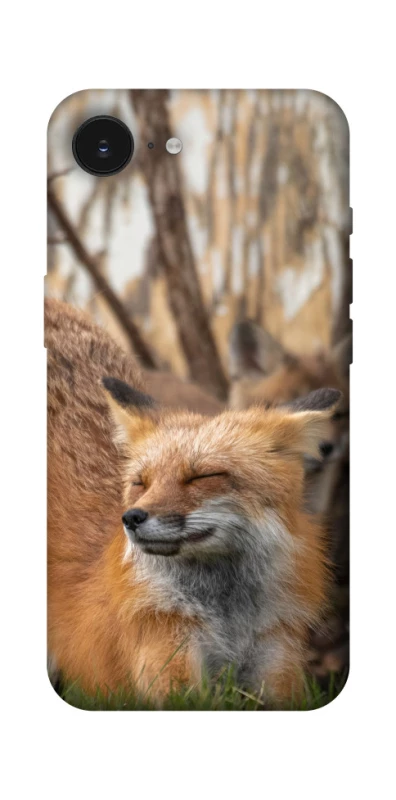 Чохол на Apple iPhone 16e (6.1") Лисиця фото 1 з 1