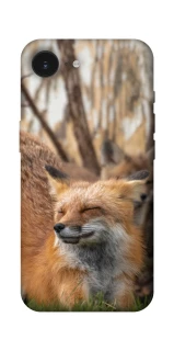 Чехол на Apple iPhone 16e (6.1") Лиса фото 1 из 1