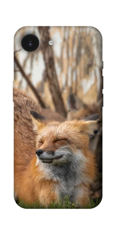 Чохол на Apple iPhone 17e (6.1") Лисиця фото 1 з 1