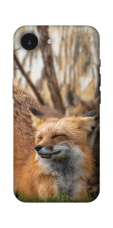 Чехол на Apple iPhone 17e (6.1") Лиса фото 1 из 1