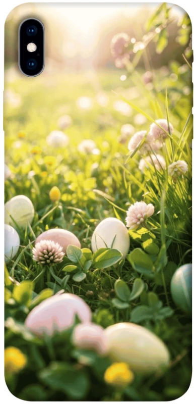 Чехол на Apple iPhone XS Max (6.5") Hello Spring фото 1 из 1