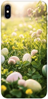 Чехол на Apple iPhone XS Max (6.5") Hello Spring фото 1 из 1