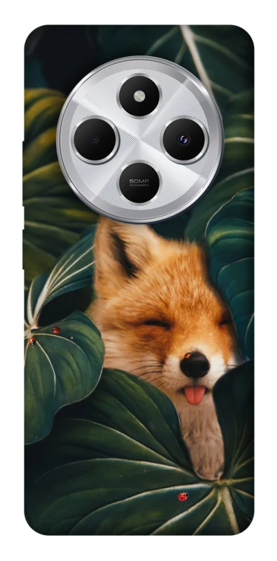 Чохол на Xiaomi Redmi 14C / Poco C75 Fox фото 1 з 1