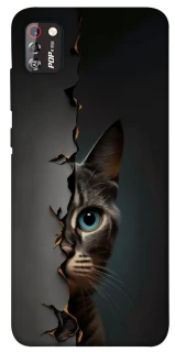 Чехол на TECNO POP 4 Pro Кот-подглядыватель v2 фото 1 из 1