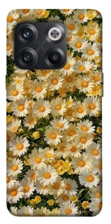 Чехол на OnePlus 10T Camomile фото 1 из 1