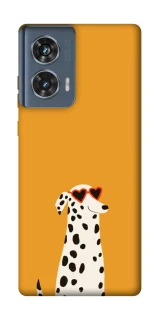 Чехол на Motorola Edge 50 Долматинец фото 1 из 1