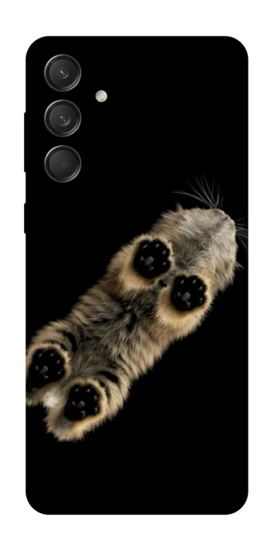 Чохол на Samsung Galaxy M55 Cat фото 1 з 1