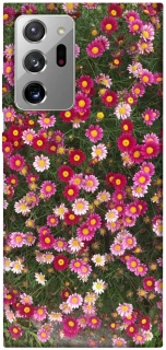 Чохол на Samsung Galaxy Note 20 Ultra Flowers v8 фото 1 з 1