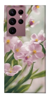 Чохол на Samsung Galaxy S22 Ultra Spring фото 1 з 1