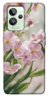 Чохол на Realme GT2 Spring фото 1 з 1