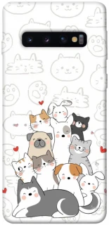 Чохол на Samsung Galaxy S10 Funny Pets фото 1 з 1
