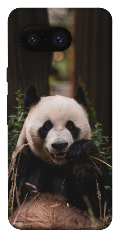 Чохол на Google Pixel 8 Панда фото 1 з 1