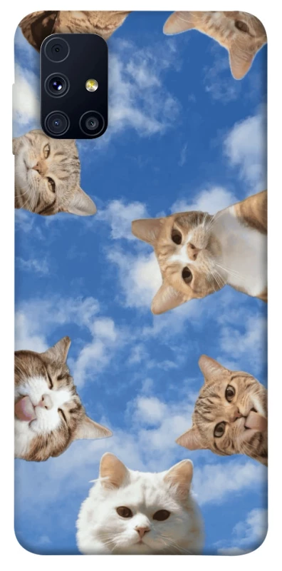 Чохол на Samsung Galaxy M31s Сats фото 1 з 1