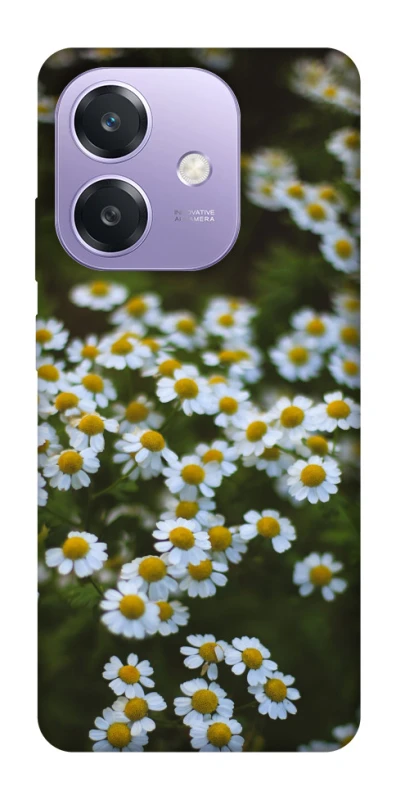 Чехол на Oppo A3X Ромашки v13 фото 1 из 1