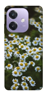 Чехол на Oppo A40m Ромашки v13 фото 1 из 1