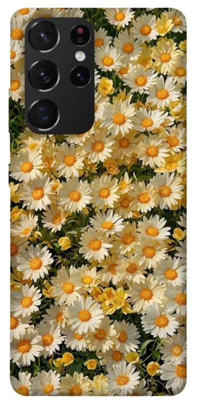 Чохол на Samsung Galaxy S21 Ultra Camomile фото 1 з 1