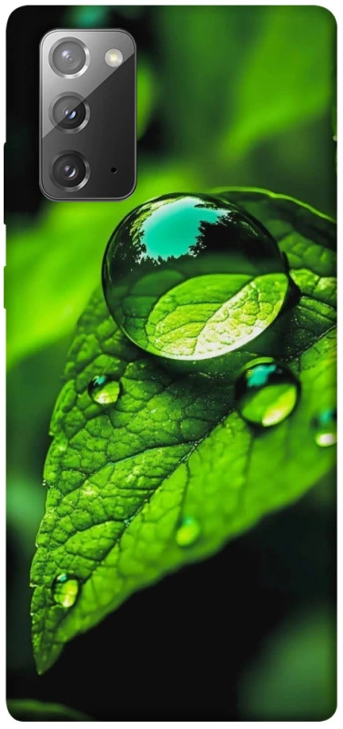 Чехол на Samsung Galaxy Note 20 Flowers v16 фото 1 из 1