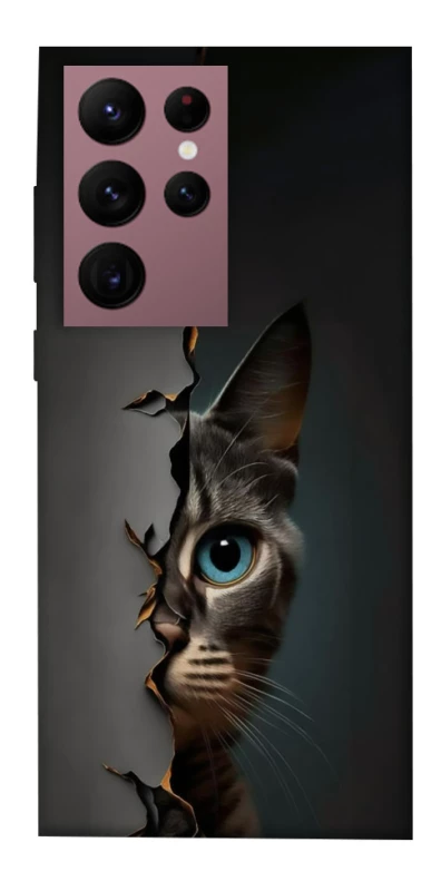 Чохол на Samsung Galaxy S22 Ultra Кіт-підглядач v2 фото 1 з 1