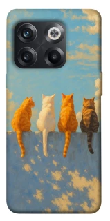 Чехол на OnePlus 10T cats on wall фото 1 из 1