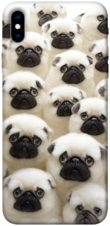 Чохол на Apple iPhone XS Max (6.5") Doggy Pug Love фото 1 з 1