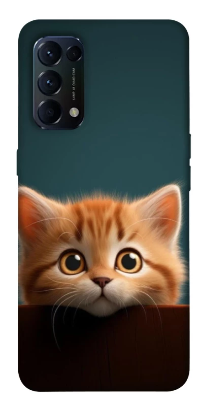 Чохол на Oppo Reno 5 4G Чохол Кошеня фото 1 з 1