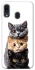 Чохол на Samsung Galaxy A20 / A30 Гарні котики фото 1 з 1