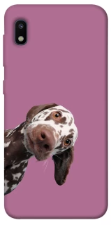 Чохол на Samsung Galaxy A10 (A105F) А що тут фото 1 з 1