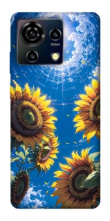 Чохол на ZTE Blade V50 Vita Sunflowers фото 1 з 1