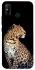 Чохол на TECNO Spark 6 Go Leopard v2 фото 1 з 1