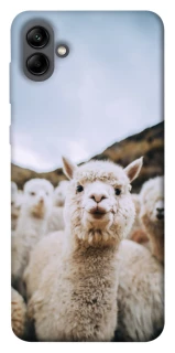 Чехол на Samsung Galaxy A04 Лама фото 1 из 1