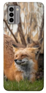 Чехол на Nokia G22 Лиса фото 1 из 1