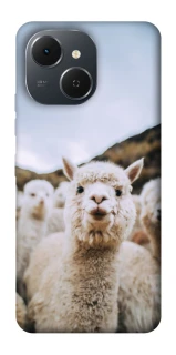 Чохол на TECNO Spark 40C Лама фото 1 з 1