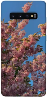 Чехол на Samsung Galaxy S10+ Flowers v4 фото 1 из 1