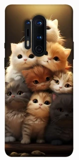 Чохол на OnePlus 8 Pro Чохол Kittie Love v2 фото 1 з 1
