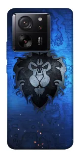 Чохол на Xiaomi 13T Warcraft v1 фото 1 з 1