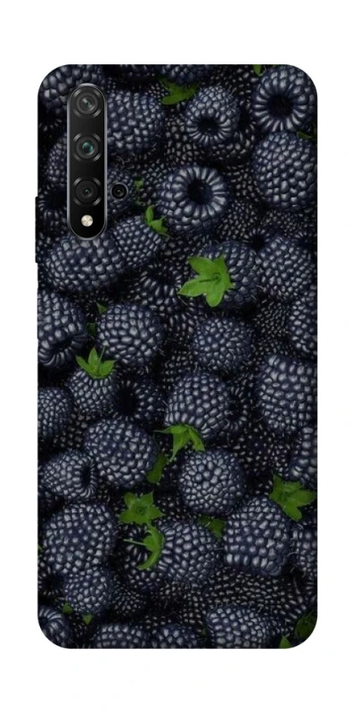 Чохол на Huawei Honor 20 / Nova 5T Fresh фото 1 з 1