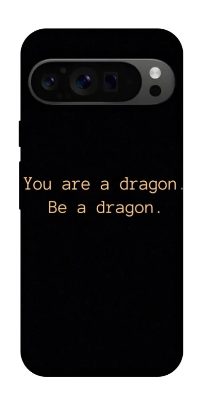 Чохол на Google Pixel 9 Pro House of the Dragon ver.9 фото 1 з 1