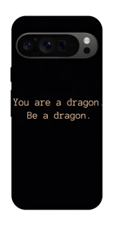 Чохол на Google Pixel 9 Pro House of the Dragon ver.9 фото 1 з 1